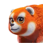 Gấu Sọc Tròn